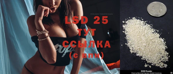 гашик Магас