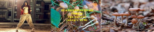 МДМА Мегион