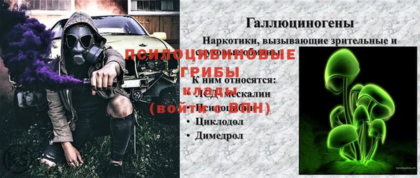 гидропоника Медногорск
