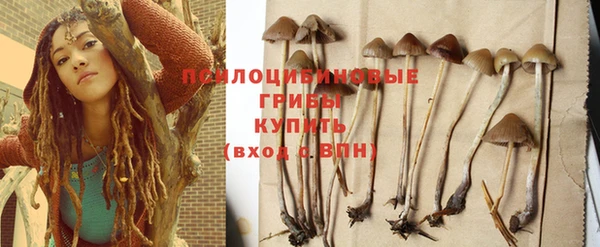 гашик Магас