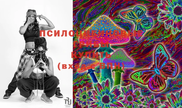 гашик Магас